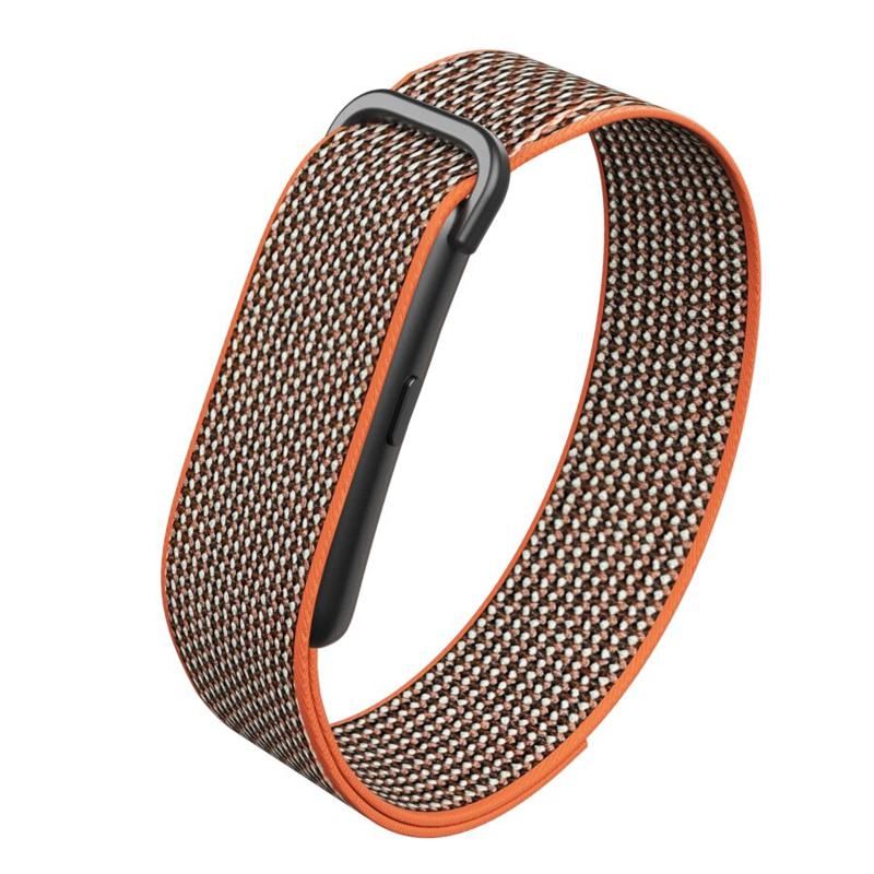 DS500 screenless band